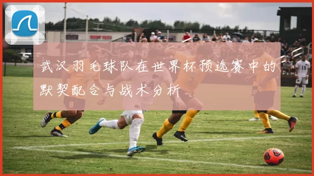 武汉羽毛球队在世界杯预选赛中的默契配合与战术分析