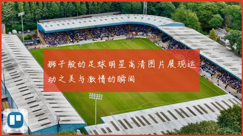 狮子般的足球明星高清图片展现运动之美与激情的瞬间