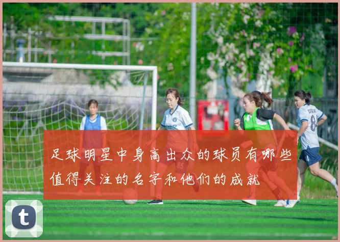 足球明星中身高出众的球员有哪些值得关注的名字和他们的成就