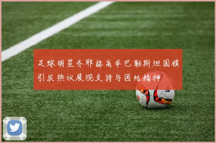 足球明星齐耶赫高举巴勒斯坦国旗引发热议展现支持与团结精神