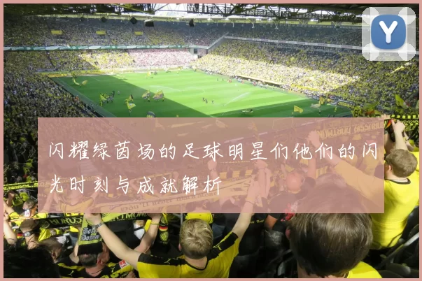闪耀绿茵场的足球明星们他们的闪光时刻与成就解析