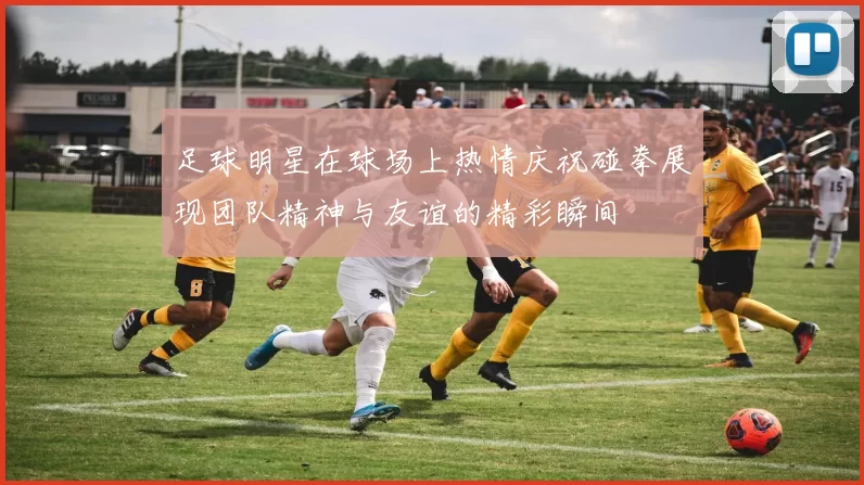 足球明星在球场上热情庆祝碰拳展现团队精神与友谊的精彩瞬间