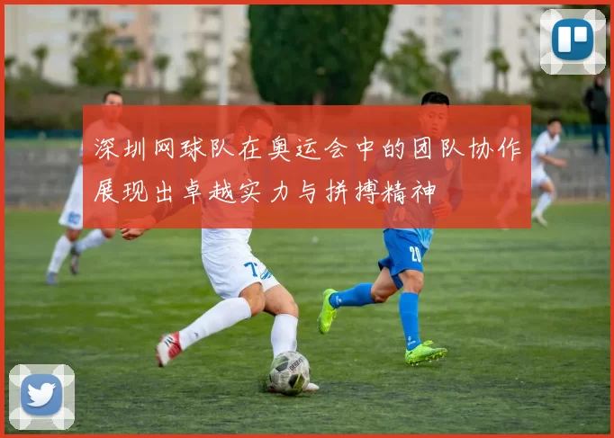 深圳网球队在奥运会中的团队协作展现出卓越实力与拼搏精神