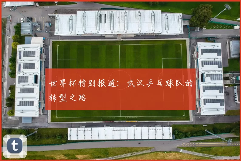 世界杯特别报道：武汉乒乓球队的转型之路