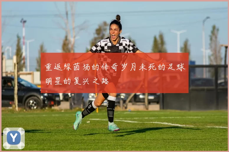 重返绿茵场的传奇岁月未死的足球明星的复兴之路