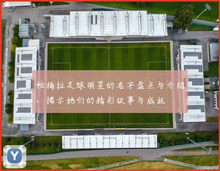 帕梅拉足球明星的名字盘点与介绍，揭示她们的精彩故事与成就