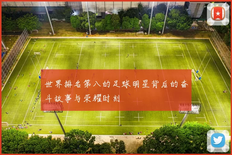 世界排名第八的足球明星背后的奋斗故事与荣耀时刻